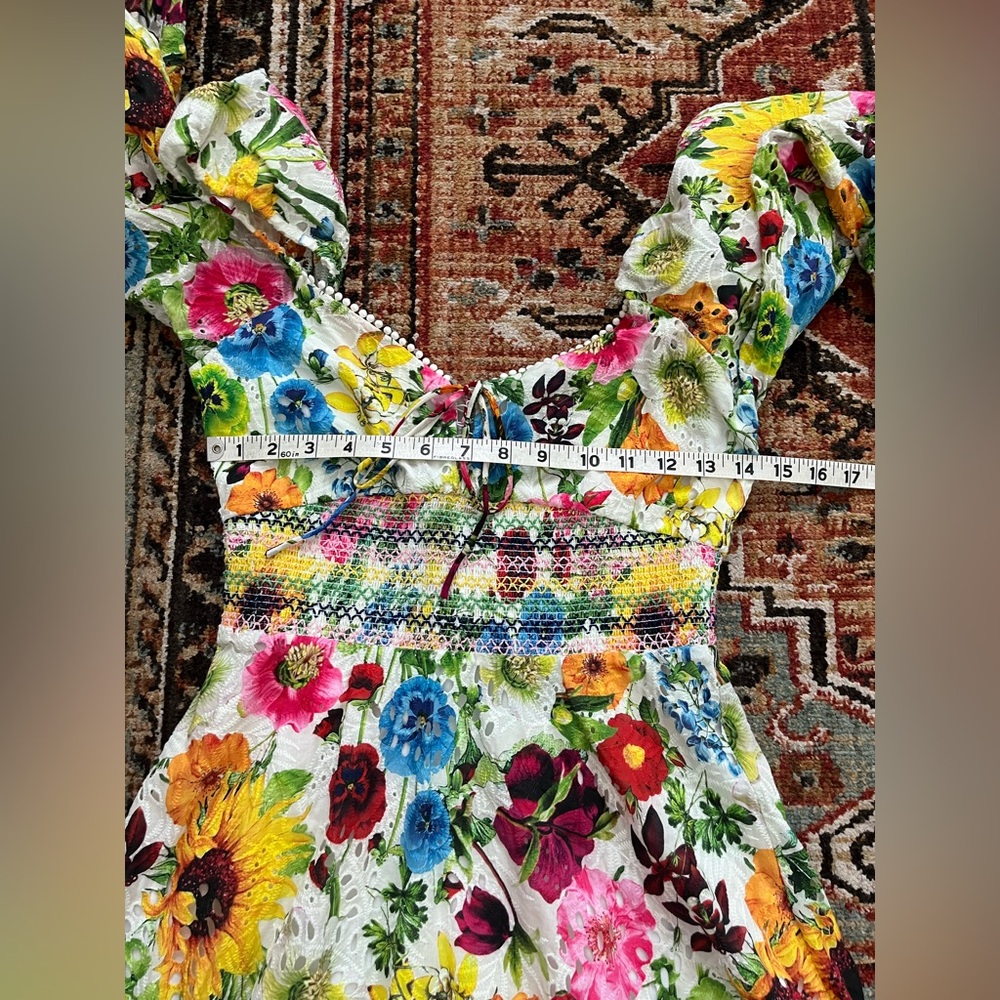 Alice and olivia Crawford Mini Dress in Sunday Stroll Multi Floral Eyelet 4 - Picture 12 of 13